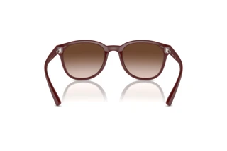 Vista posterior Emporio Armani EA4225U (610113)