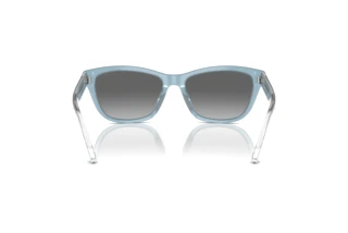Vista posterior Emporio Armani EA4227U (609611)