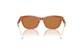 Vista posterior Emporio Armani EA4227U (609773)