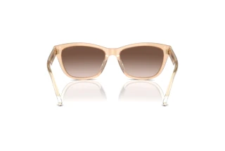 [glasses-back-view] Emporio Armani EA4227U (609813)