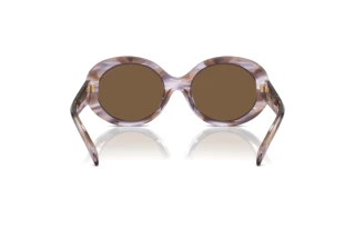 [glasses-back-view] Emporio Armani EA4231U (615673)