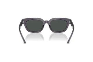 [glasses-back-view] Emporio Armani EA4233U (610687)
