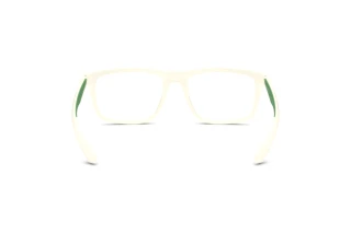 [glasses-back-view] Emporio Armani EA4235 (61871W)
