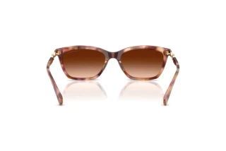 [glasses-back-view] Emporio Armani EA4238 (619674)