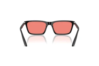 [glasses-back-view] Emporio Armani EA4239U (501784)