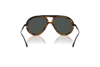 [glasses-back-view] Emporio Armani EA4242U (621287)