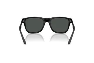 [glasses-back-view] Emporio Armani EA4243 (5001T3)