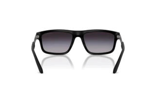 Vedere din spate Emporio Armani EA4244U (50018G)