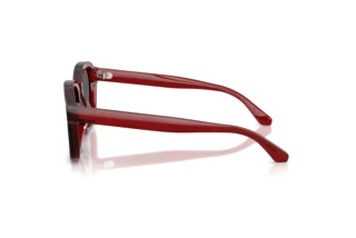 [glasses-side-view] Emporio Armani EA4245U (624887)