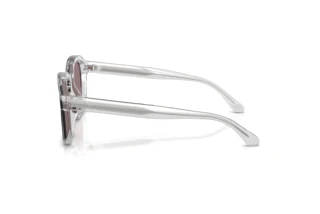 [glasses-side-view] Emporio Armani EA4245U (62507N)