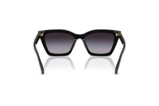 Vista posterior Emporio Armani EA4250U (50178G)