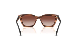 Vista posterior Emporio Armani EA4250U (626613)