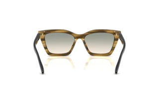 [glasses-back-view] Emporio Armani EA4250U (62672C)