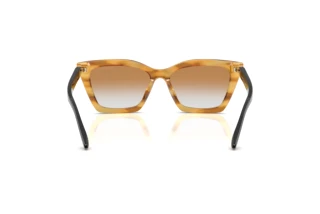 Vista posterior Emporio Armani EA4250U (62692Q)