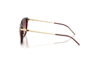 Vista lateral Emporio Armani EA4251 (62658D)