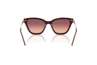 Vista posterior Emporio Armani EA4251 (62658D)