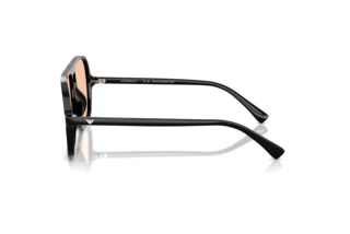 Vista lateral Emporio Armani EA4252U (501793)