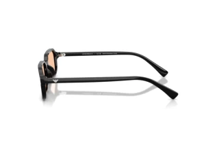 [glasses-side-view] Emporio Armani EA4253U (501793)
