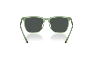 [glasses-back-view] Emporio Armani EA4255D (536287)