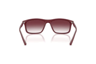 Vedere din spate Emporio Armani EA4257U (52618H)