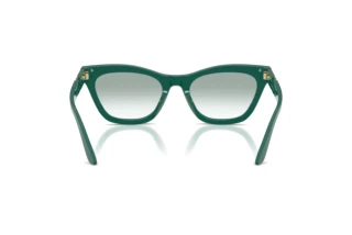 Vedere din spate Emporio Armani EA4259U (63248E)