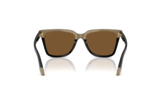 Vedere din spate Emporio Armani EA4261 (631373)