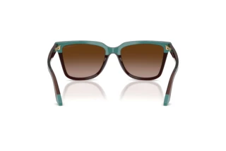 Vedere din spate Emporio Armani EA4261 (631813)