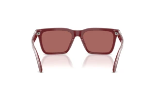 Vedere din spate Emporio Armani EA4262U (632269)