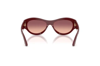 Vedere din spate Emporio Armani EA4265U (63238D)