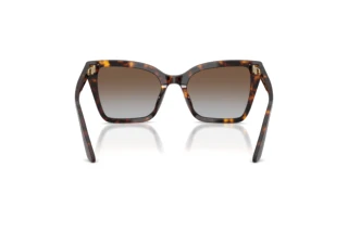 [glasses-back-view] Emporio Armani EA4273BU (502689)