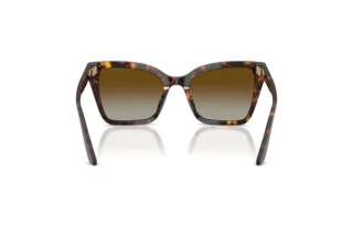 [glasses-back-view] Emporio Armani EA4273BU (5026T5)