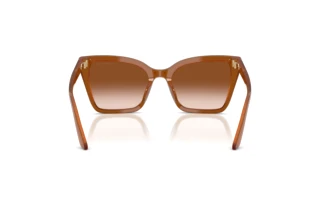 [glasses-back-view] Emporio Armani EA4273BU (637613)