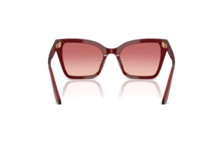 [glasses-back-view] Emporio Armani EA4273BU (6377A5)
