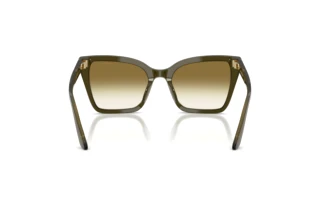 [glasses-back-view] Emporio Armani EA4273BU (63788E)