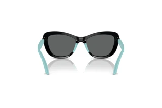 [glasses-back-view] Emporio Armani EK4004 (501787)