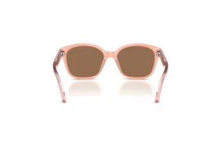 [glasses-back-view] Emporio Armani EK4009U (638773)