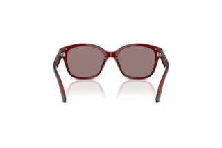 [glasses-back-view] Emporio Armani EK4009U (63897N)