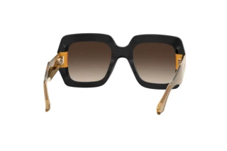 Vista traseira Etro ETRO 0011/S (71C/HA)