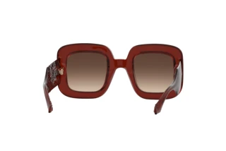 Vista posterior Etro ETRO 0015/S (2LF/HA)