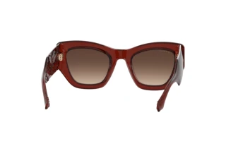 [glasses-back-view] Etro ETRO 0017/S (2LF/HA)