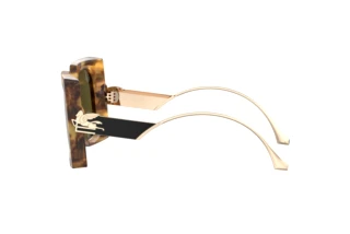 Vista lateral Etro ETRO 0026/S (EPZ/QT)