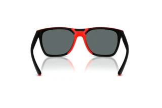 Vista posterior Ferrari Scuderia FZ6013D (504/81)