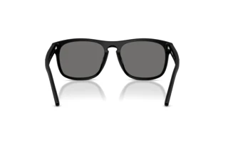 Vedere din spate Ferrari Scuderia FZ6020U (701/81)