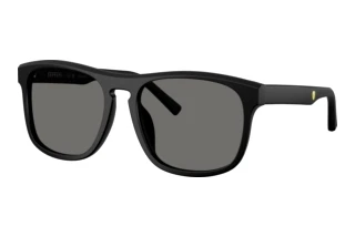 Vedere din față Ferrari Scuderia FZ6020U (701/81)