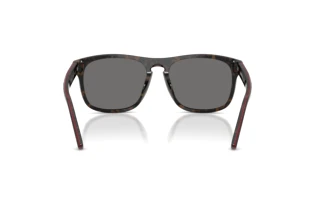 Vedere din spate Ferrari Scuderia FZ6020U (742/81)