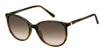 Fossil FOS 3099/S 086/HA BROWN SHADEDHVN 