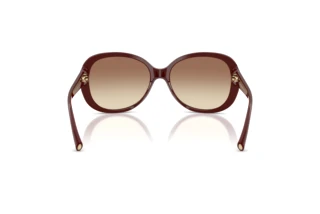 [glasses-back-view] Giorgio Armani AR8047 (639913)