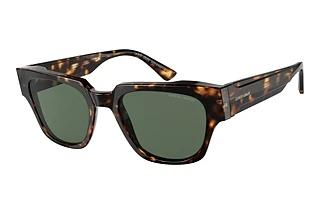 Giorgio Armani AR8147 502271