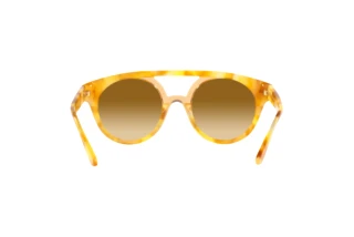[glasses-back-view] Giorgio Armani AR8163 (57612L)