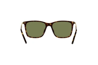 [glasses-back-view] Giorgio Armani AR8176 (50262A)